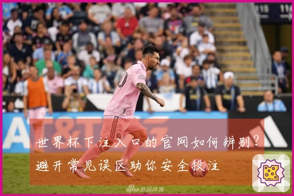 世界杯下注入口的官网如何辨别?避开常见误区助你安全投注