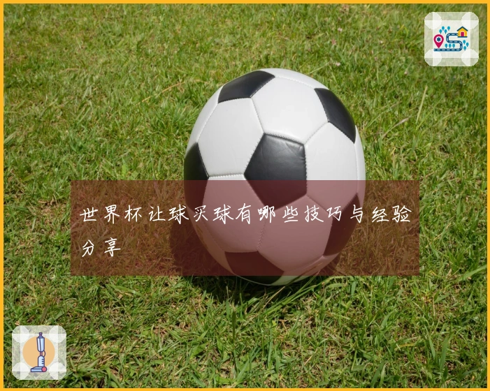 世界杯让球买球有哪些技巧与经验分享