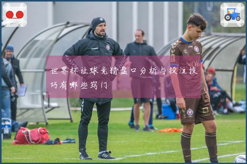 世界杯让球竞猜盘口分析与投注技巧有哪些窍门