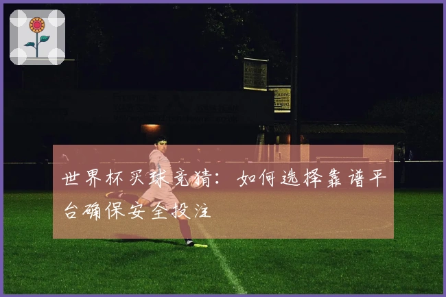 世界杯买球竞猜：如何选择靠谱平台确保安全投注