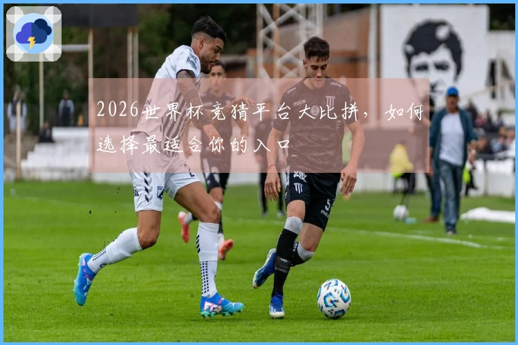 2026世界杯竞猜平台大比拼，如何选择最适合你的入口