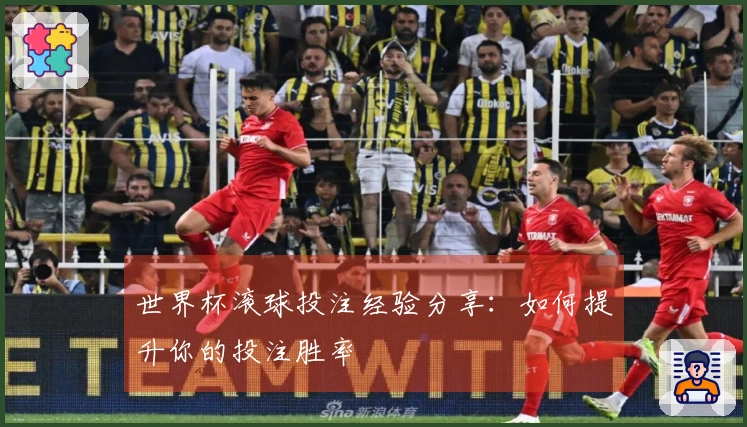 世界杯滚球投注经验分享：如何提升你的投注胜率