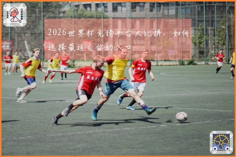 2026世界杯竞猜平台大比拼，如何选择最适合你的入口