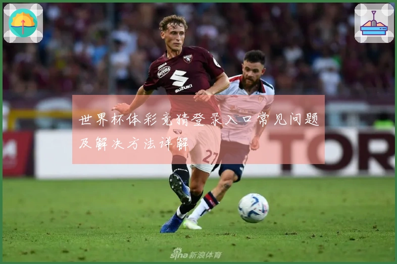 世界杯体彩竞猜登录入口常见问题及解决方法详解
